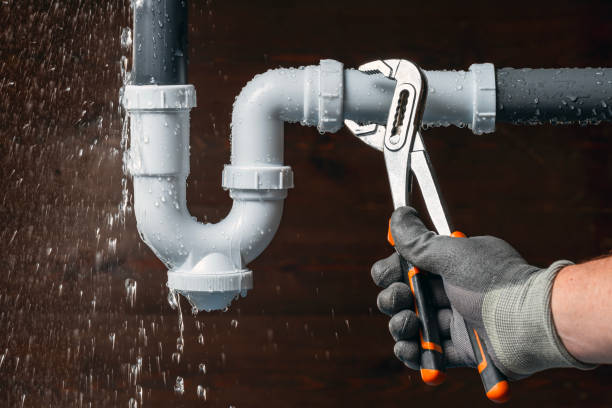 Professional Emergency Plumber technician working in Florahome, FL